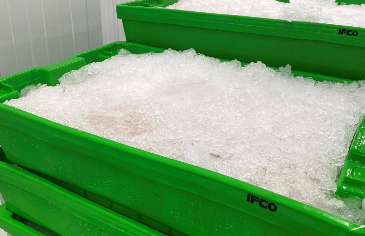 IFCO Caja Pescado IFCO Caja Pescado